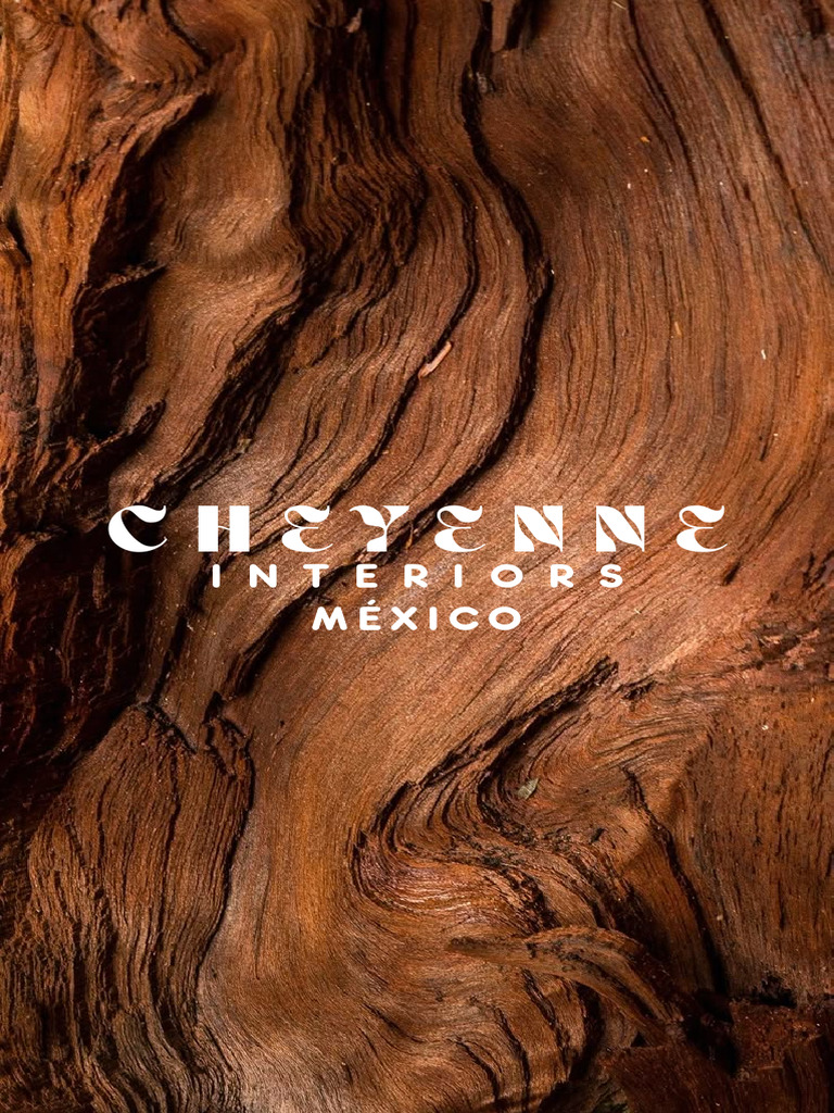 Sandra Mejía CHYNN Interiors México | PDF