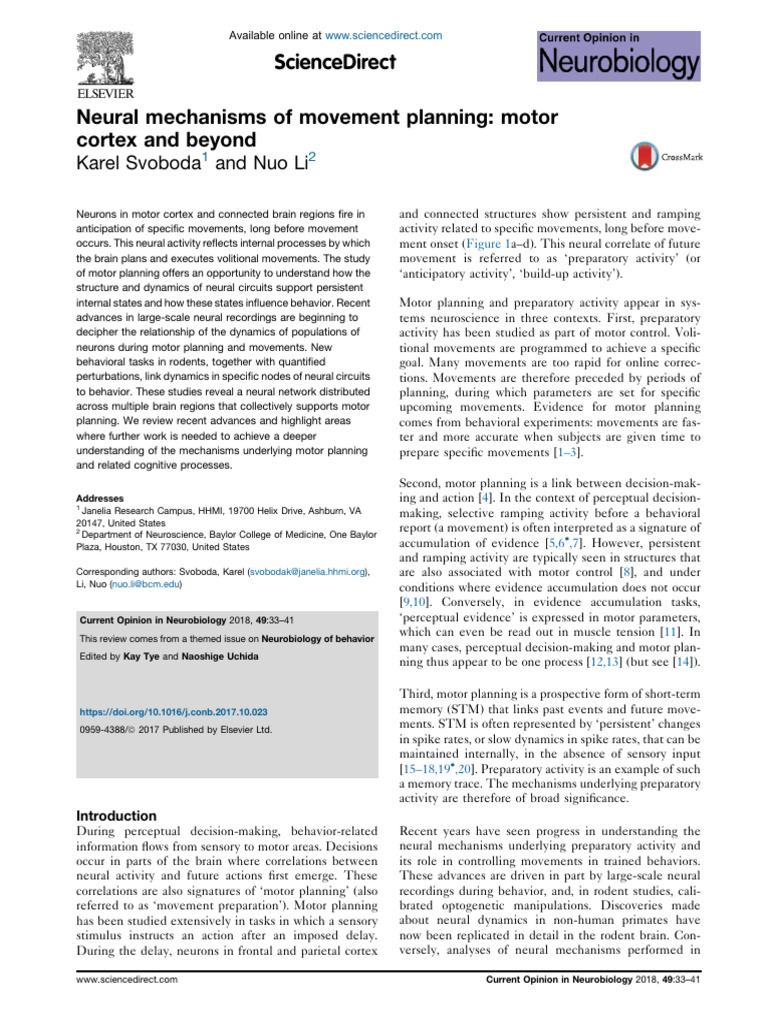 Neural Mechanisms of Motor Planning | PDF | Thalamus | Cerebral Cortex