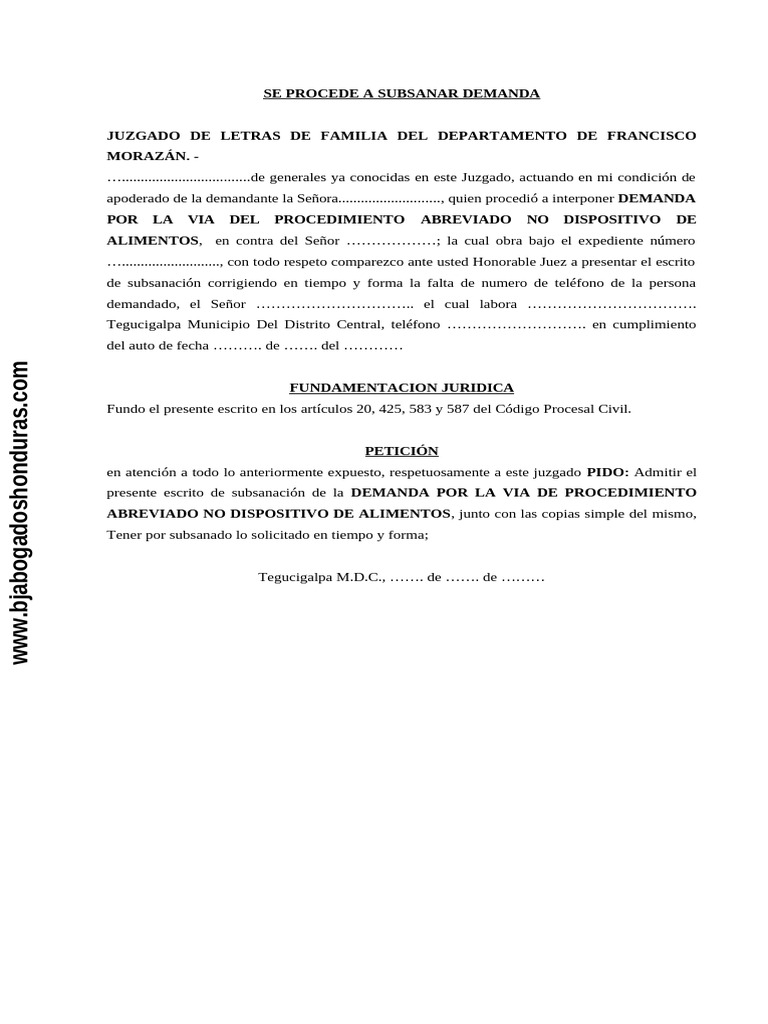 Formato Procedimiento Subsanar Demanda Honduras | PDF