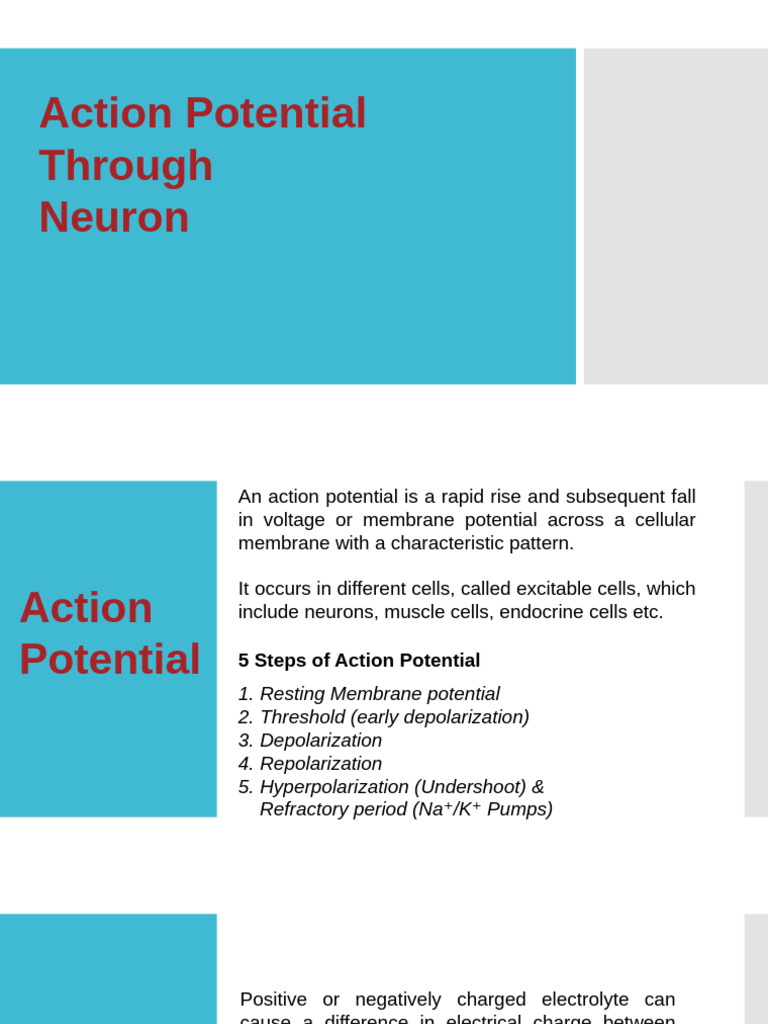 Actionpotential 200723072554 | PDF | Action Potential | Depolarization