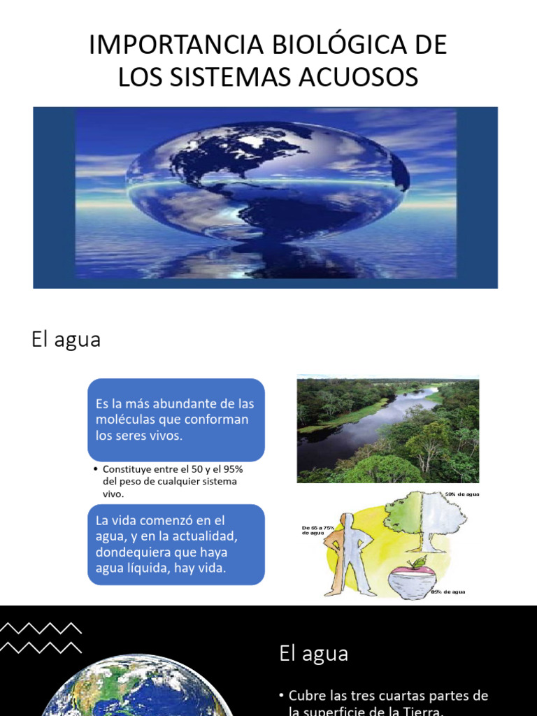 Importancia del Agua en la Vida | PDF