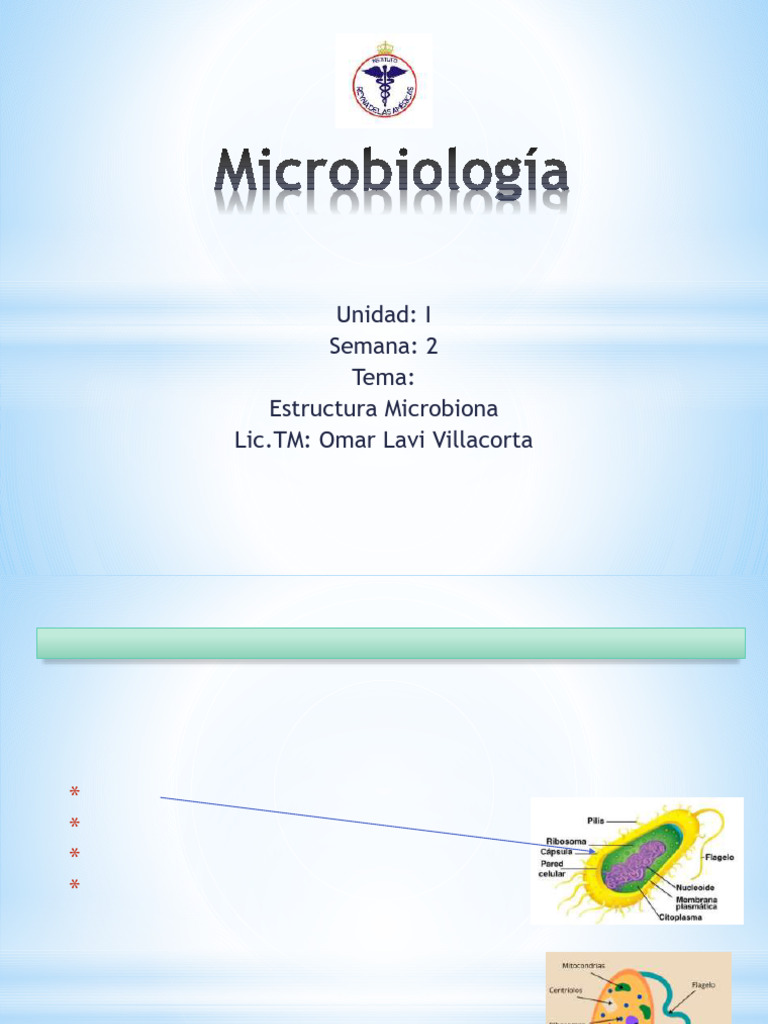 Estructura y Clasificación de Microbios | PDF | Las bacterias ...