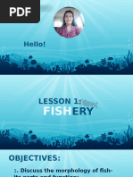 Fish Skeletal System Recognition Guide | PDF | Skeleton | Bone
