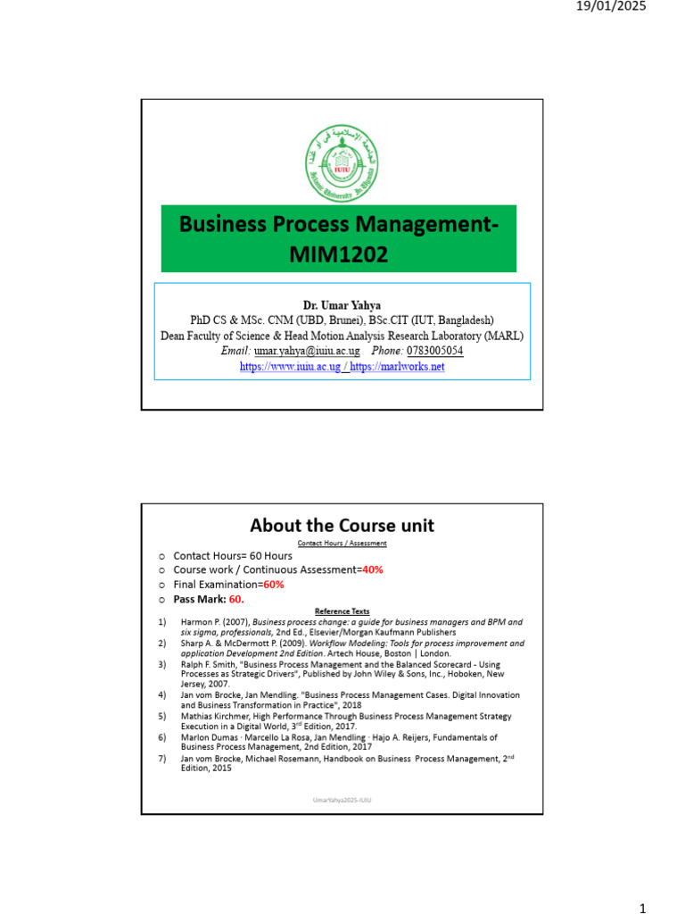 Business Process Identification | PDF | Business Process | Business ...