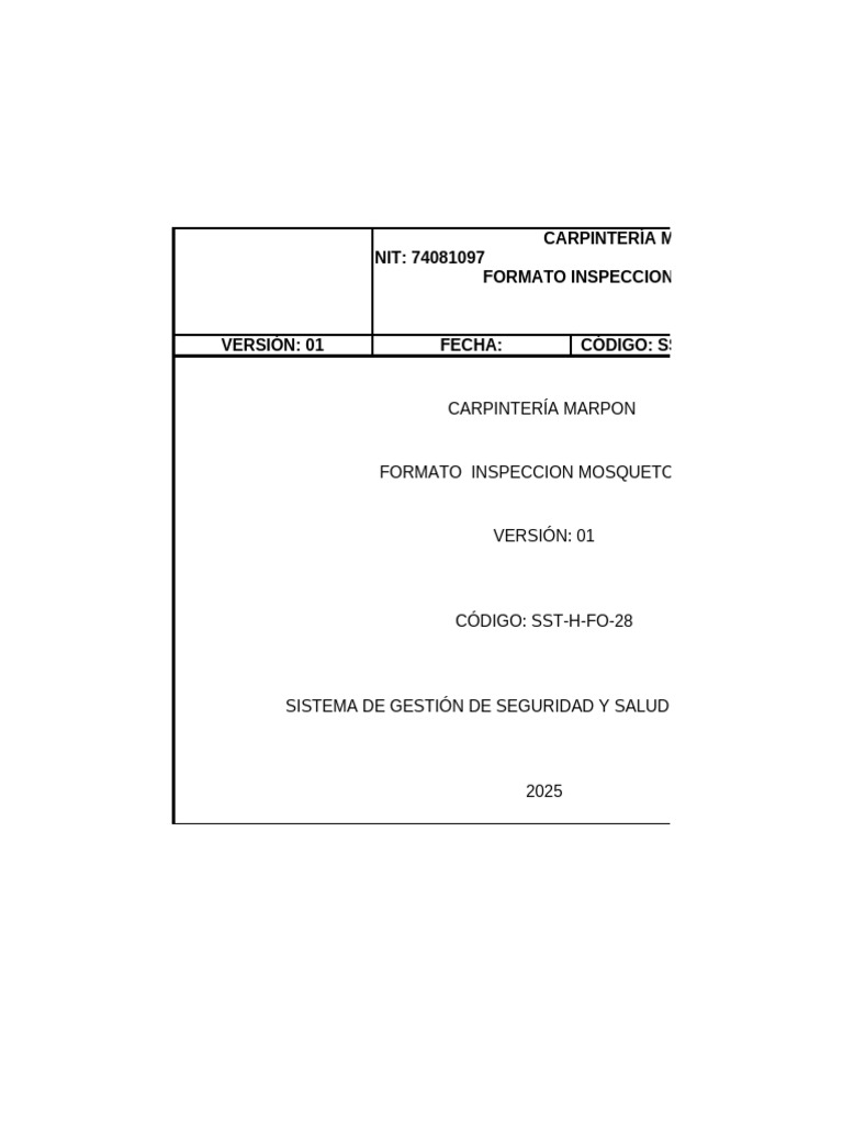 SST H Fo 28 Inspeccion Mosquetones | PDF | Materiales