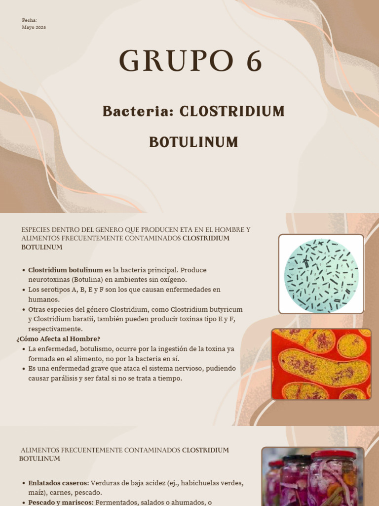 Micro II | PDF | Biología | Microbiología