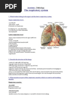 Digestive System Flow Chart | Digestion | Stomach