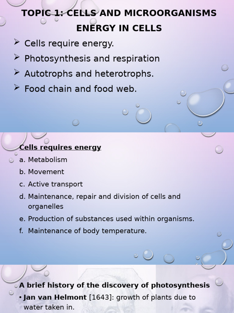 Energy in Cells: Photosynthesis & Respiration | PDF | Cellular ...