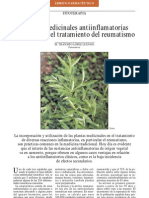 Plantas medicinales para el tratamiento del reumatismo