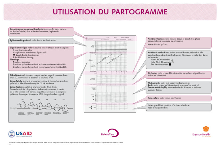 Utilisation du Partogramme en Accouchement | PDF | Accouchement ...
