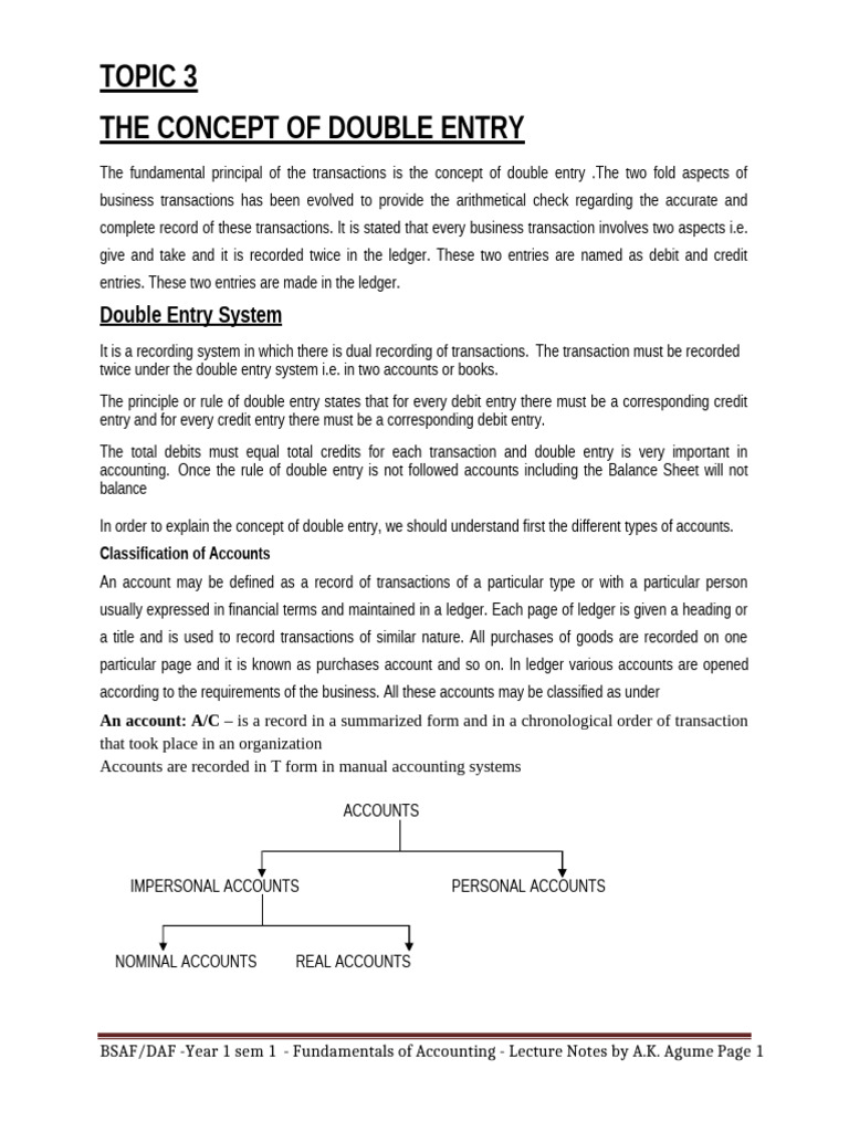 Double Entry Accounting Concepts Explained | PDF | Debits And Credits ...