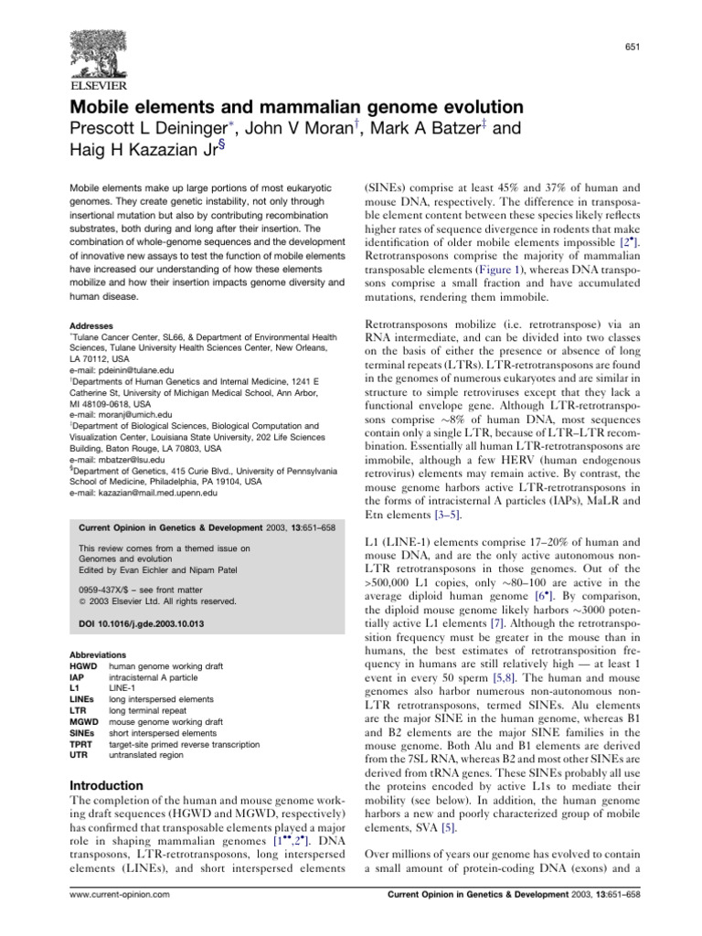 Mobile Elements and Mammalian Genome Evolution | PDF | Genome ...