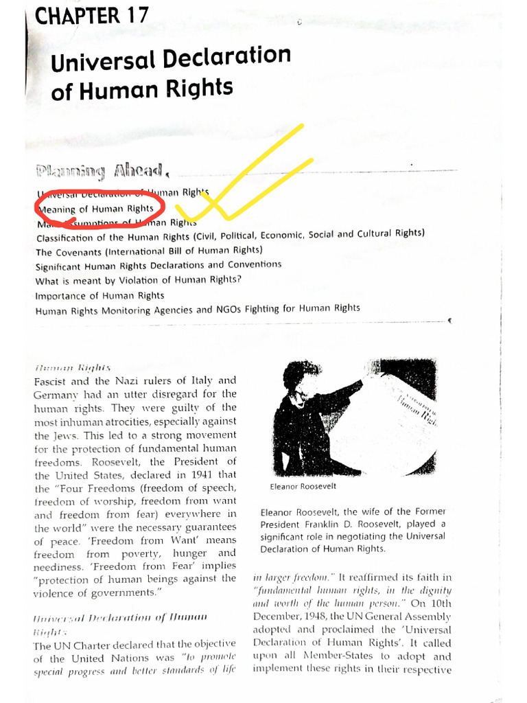 Document 56 | PDF