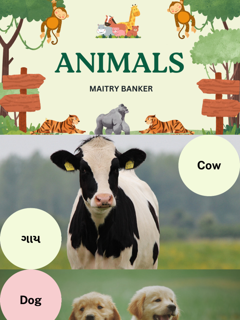 Animals | PDF