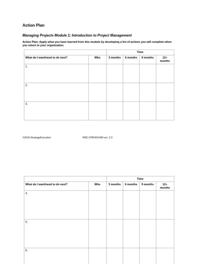 Action - Plan Template - Managing - Projects | PDF