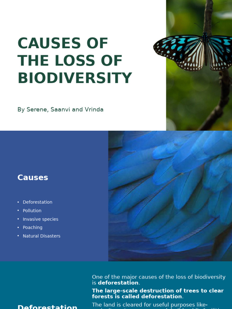 Causes of The Loss of Biodiversity | PDF | Deforestation | Habitat ...