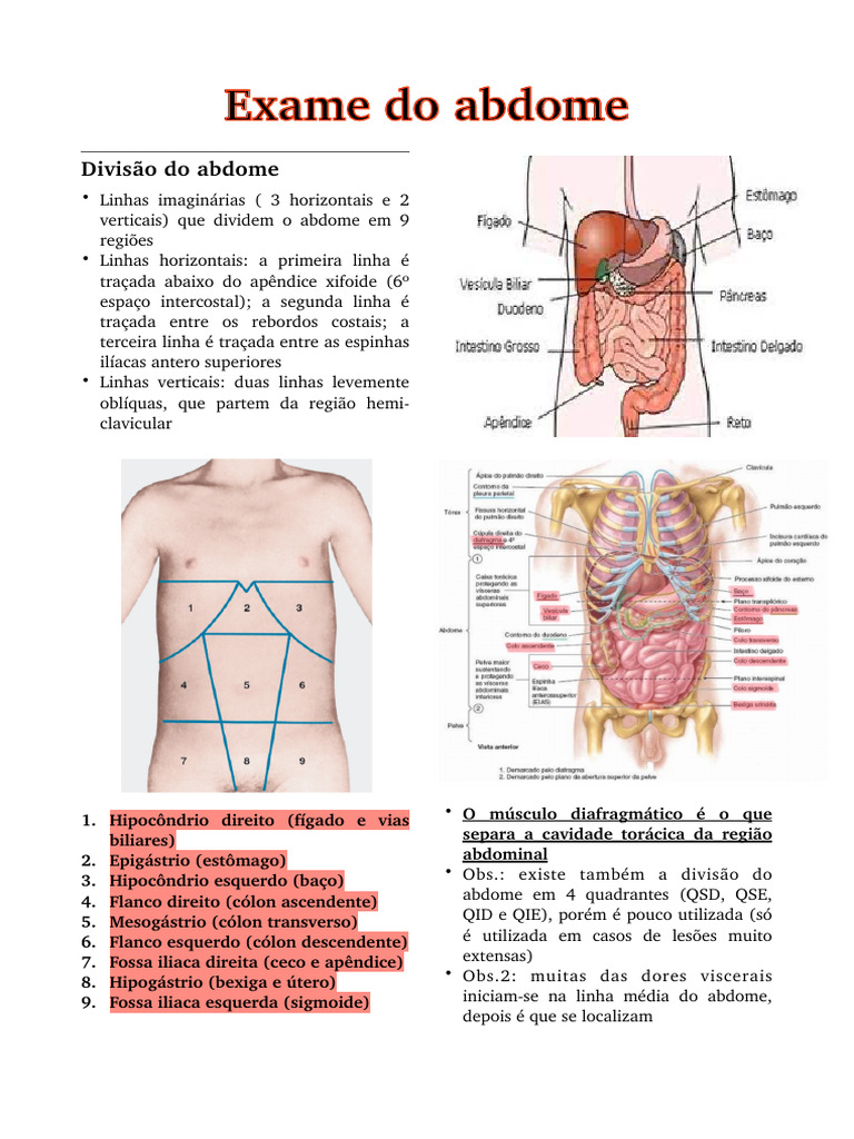 Exame e Divisão do Abdome | PDF | Especialidades médicas | Abdômen