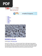 Download Sepak Bola Ummul by Ummu Ubaidah SN87175838 doc pdf