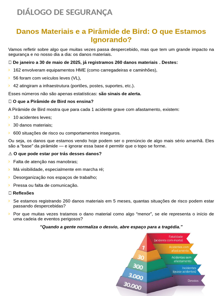 Danos Materiais e a Pirâmide de Bird | PDF
