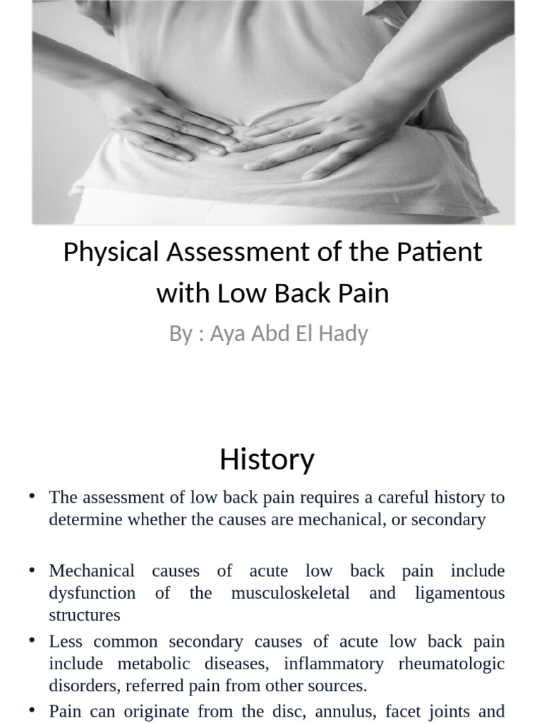 Low Back Pain: Comprehensive Assessment Guide | PDF | Vertebral Column ...