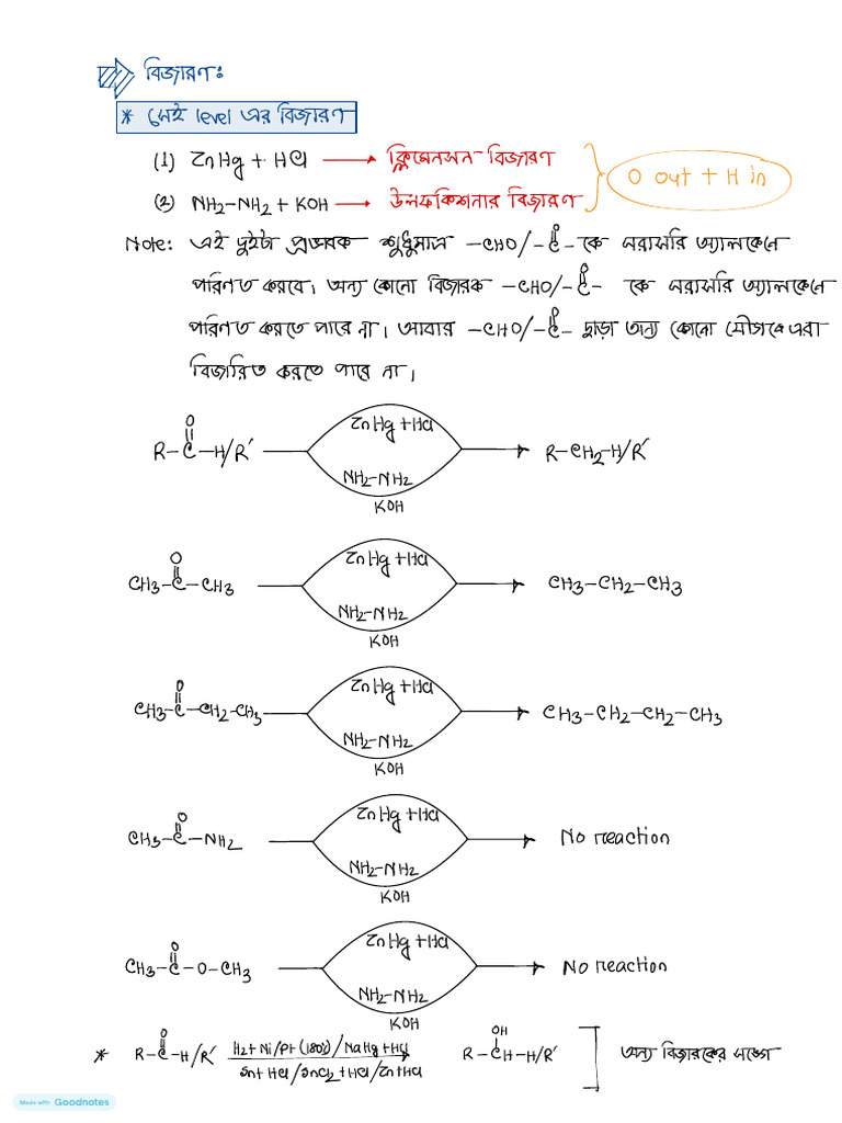 Class No 11 | PDF