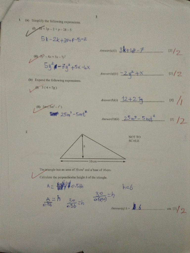 100%quiz | PDF | Elementary Geometry | Elementary Mathematics