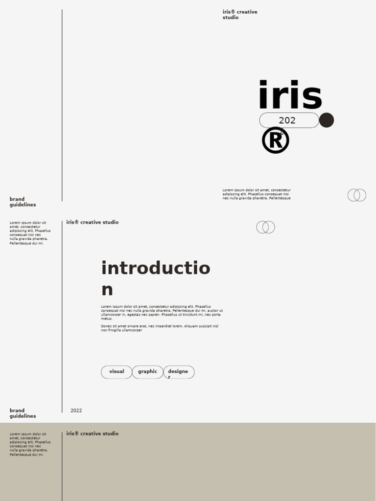 Iris® Creative Studio Guidelines 2022 | PDF | Image Processing | Vision