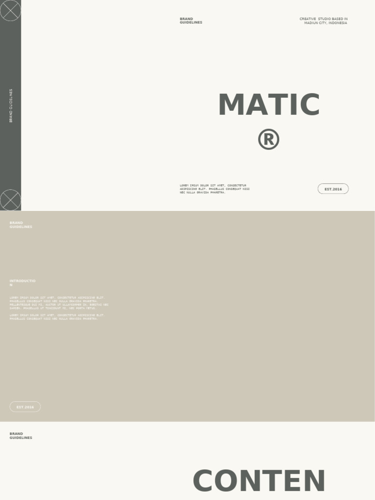 Matic Brand Guidelines Overview | PDF | Psychophysics | Color