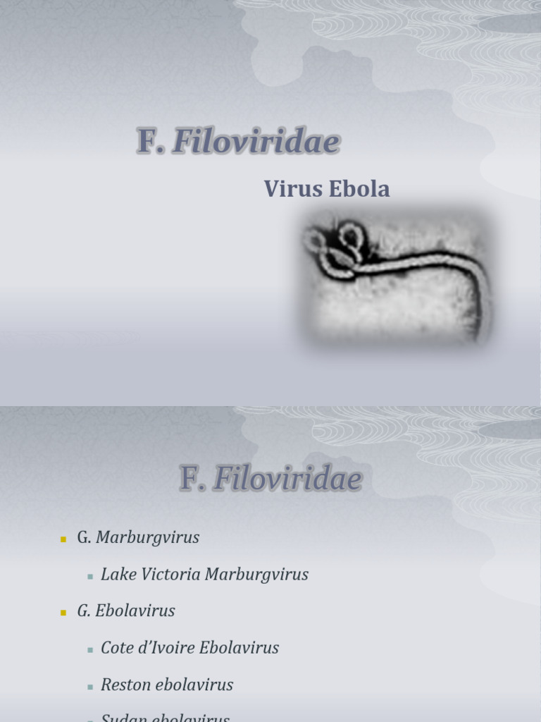 Filoviridae | PDF | Especialidades Medicas | Enfermedades y trastornos