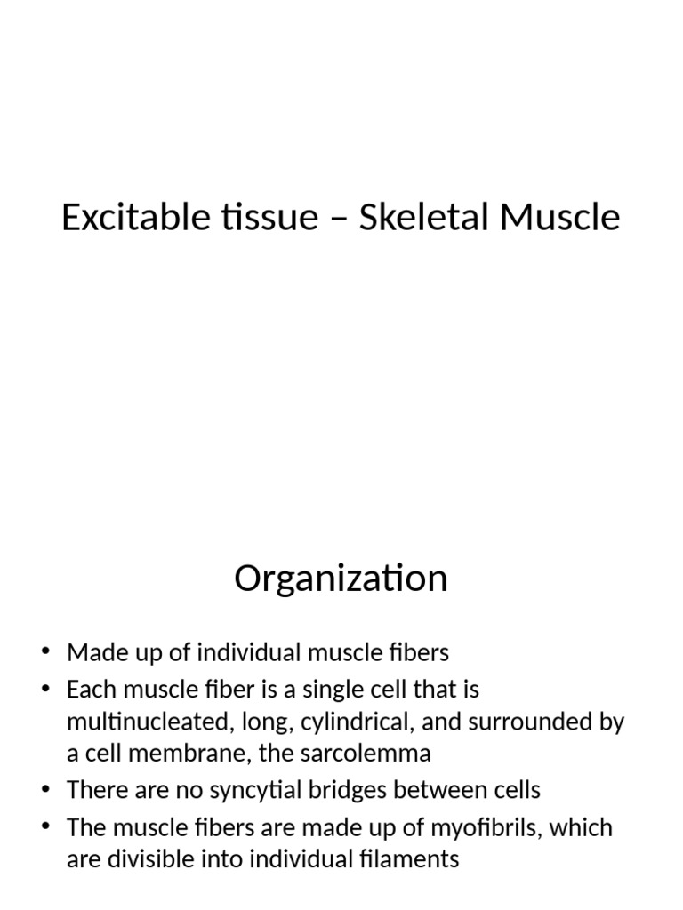 Structure and Function of Skeletal Muscle | PDF | Muscle Contraction ...