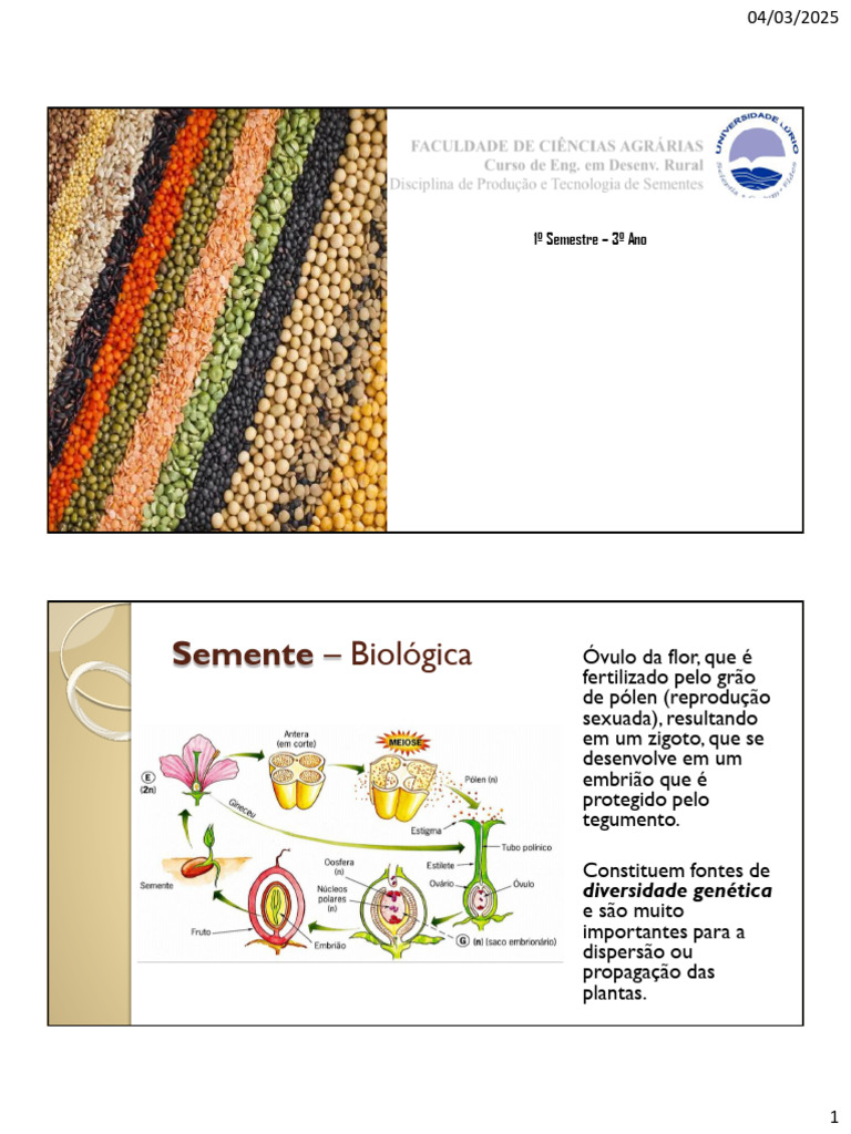 Importância e História das Sementes | PDF | Semente | Agricultura