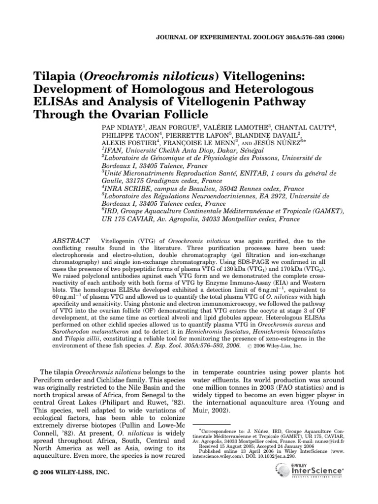 Tilapia Vitellogenin ELISA Development | PDF | Western Blot | Protein ...