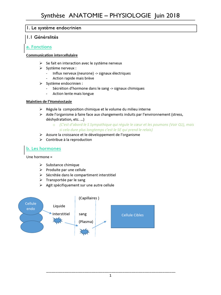 Système endocrinien : hormones et régulation | PDF | Vaisseau sanguin ...
