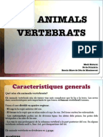 Presentació Dels Animals Vertebrats