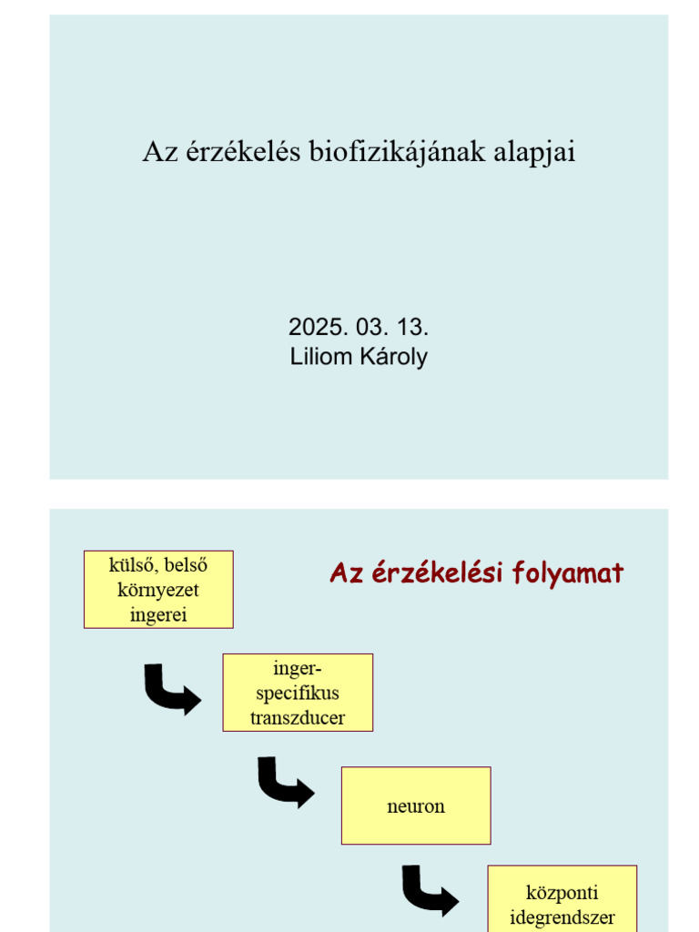 FOK Biofizika2 Erzekeles 2025t LK | PDF