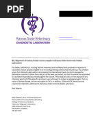 FAVN Report Form With Checklist | PDF