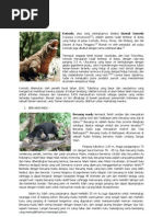 Kliping Hewan Yang Hidup Di Darat Air Dan Udara Kliping Hewan Yang Hidup Di Darat Air Dan Udara