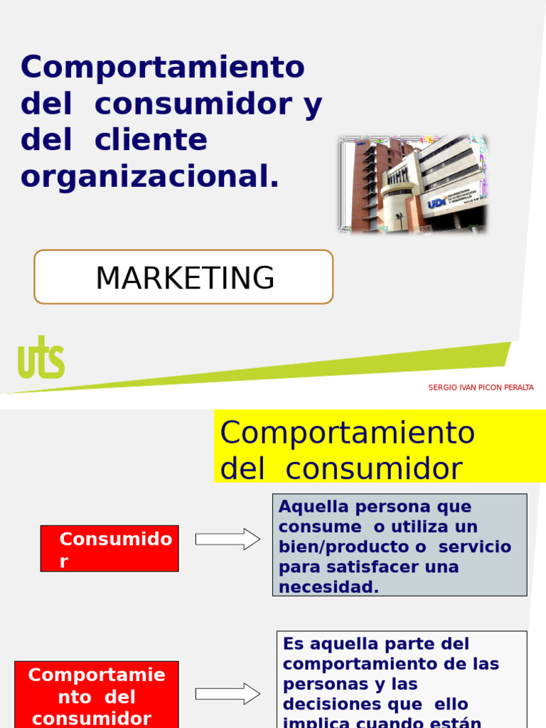 Comportamiento Del Consumidor y Del Cliente Organizacional | PDF | Los ...
