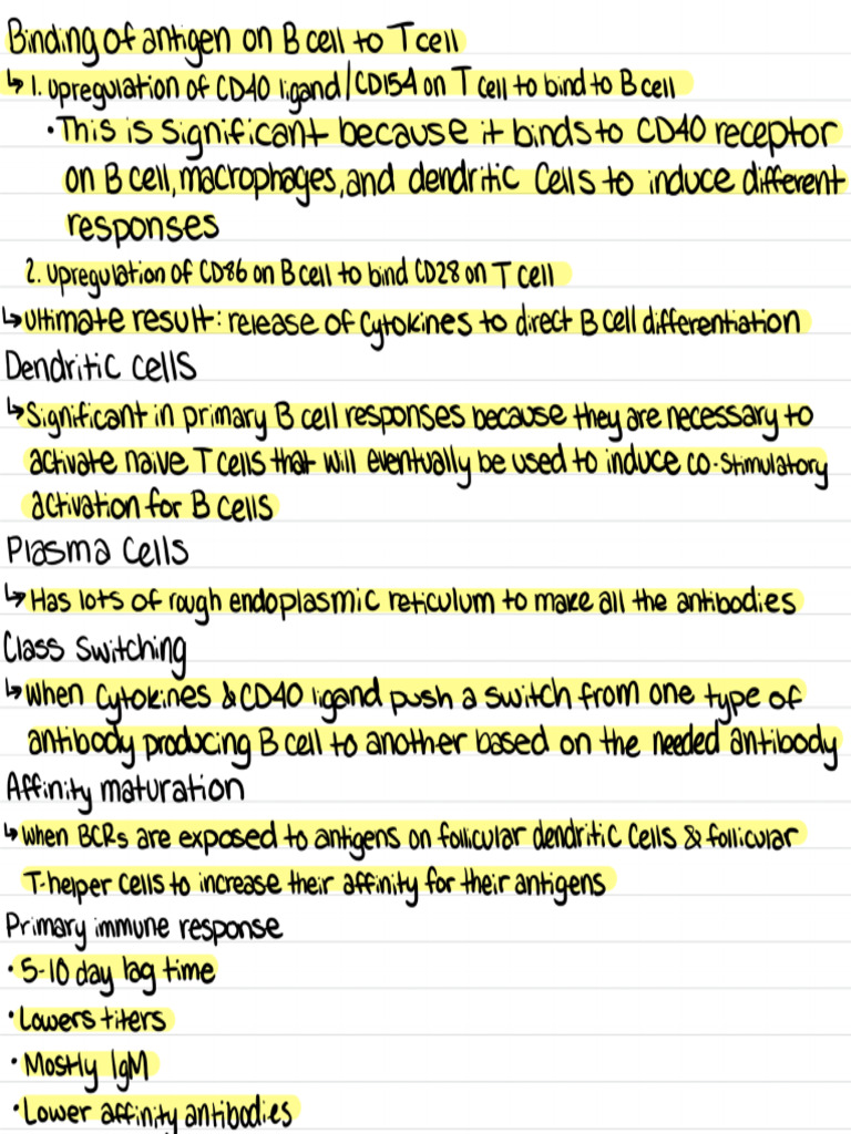 Notes 3 | PDF