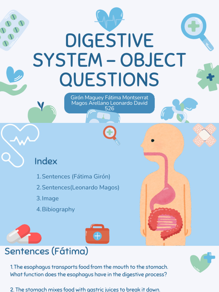 Digestive System | PDF
