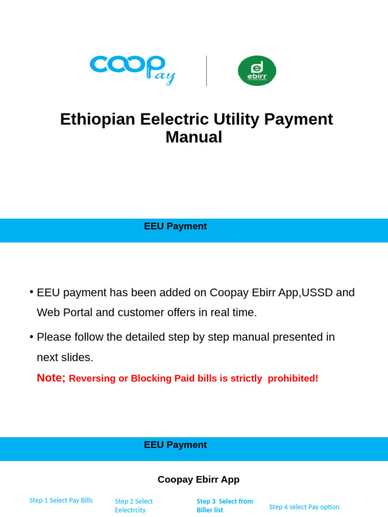 EEU Bill Payment Guide | PDF