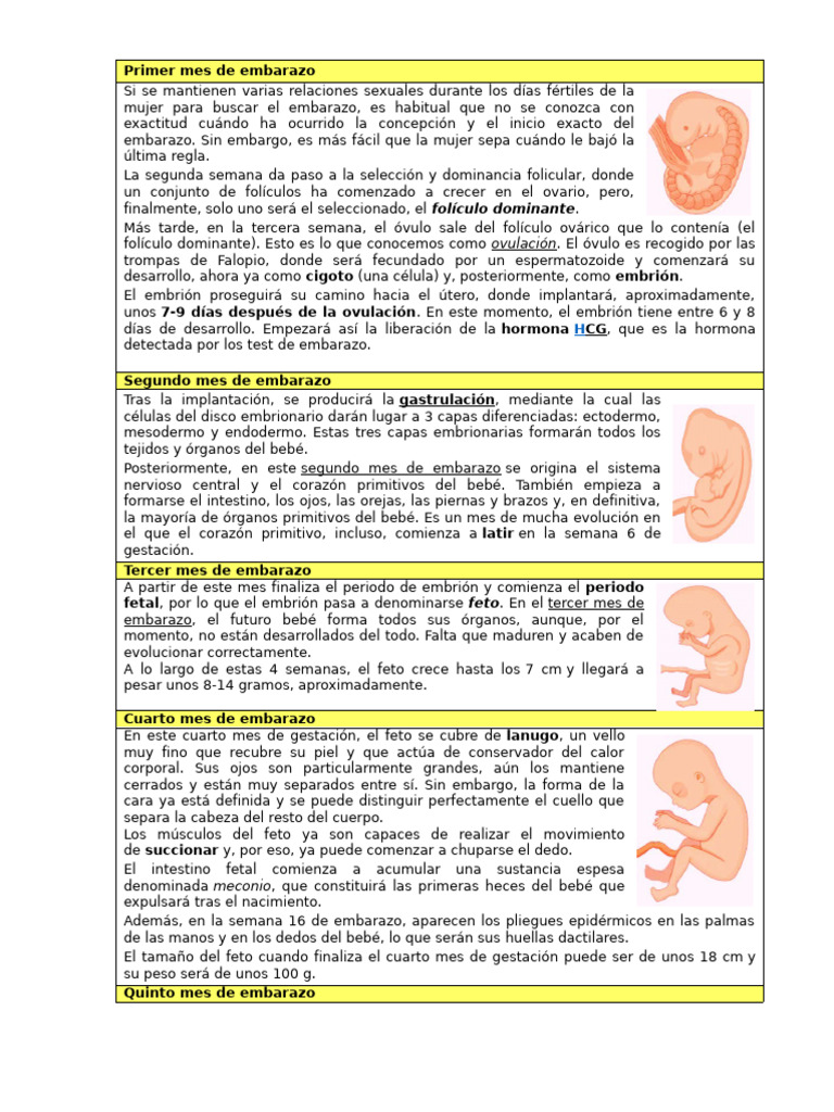 Informacion de Embarazo y Parto | PDF | Parto | El embarazo