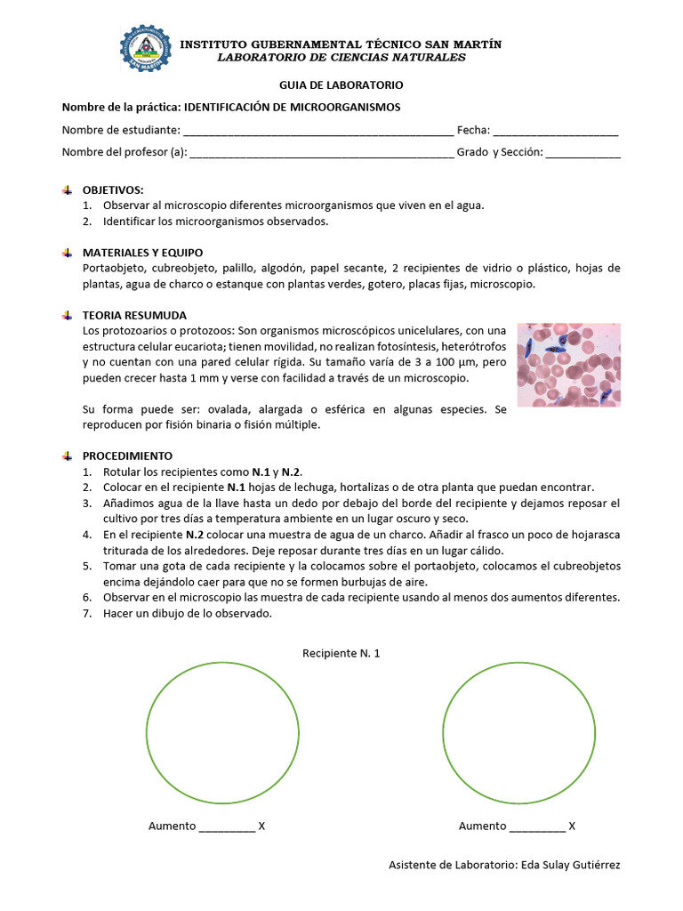 Guia de Laboratorio Microorg-1 | PDF | Microorganismo | Protozoos