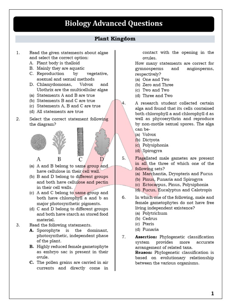 Multicellular Algae Overview | PDF | Plants | Biological Interactions