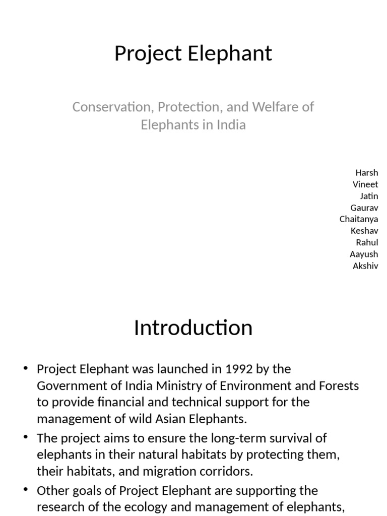 Project Elephant Full Presentation | PDF