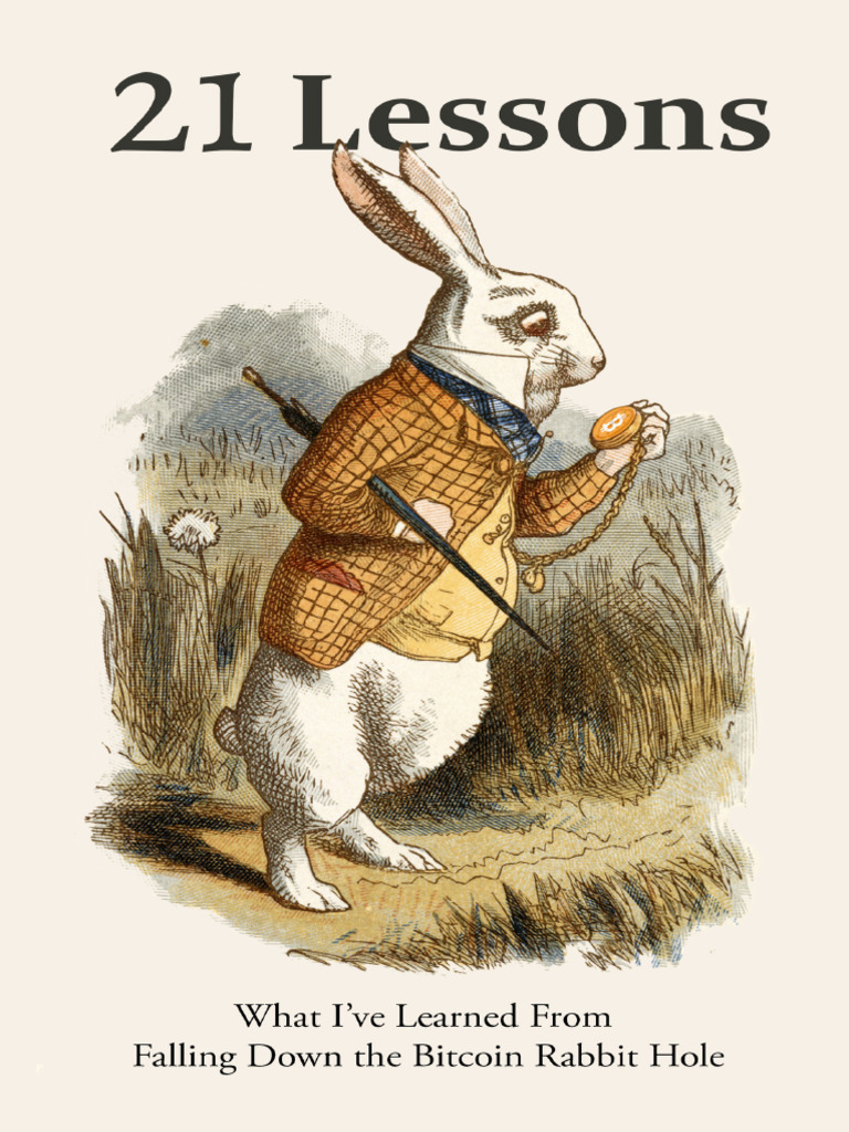 21 Lessons What Ive Learned From Falling Down The Bitcoin Rabbit Hole ...