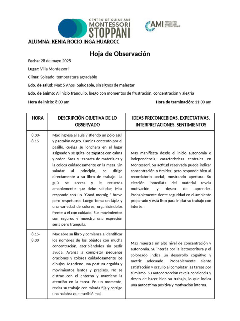 Observación de Max Inga, 5 años | PDF | Las emociones | Aprendizaje