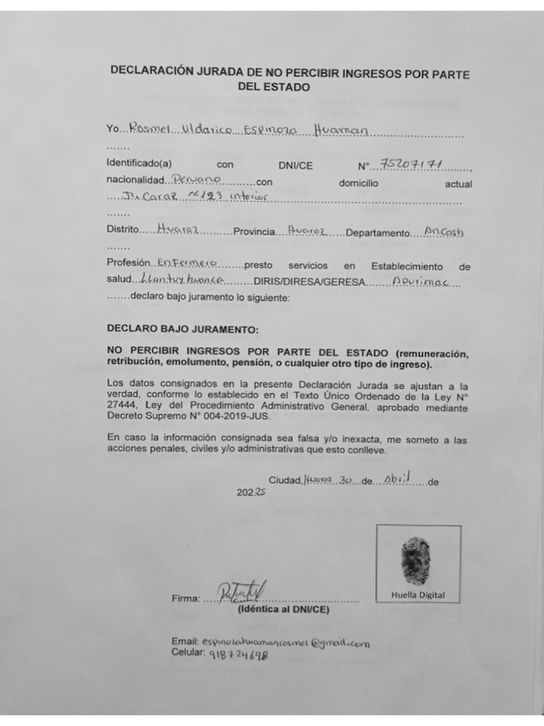Declaracion No Percibir Ingresos | PDF