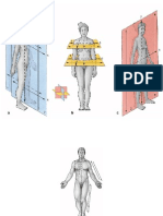 34238946-anatomia-humana-figuras