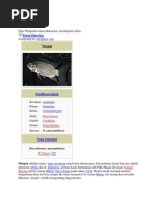 Download Mujair by E Van Hoeloex SN87203362 doc pdf